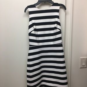 Cynthia Steffe Dress